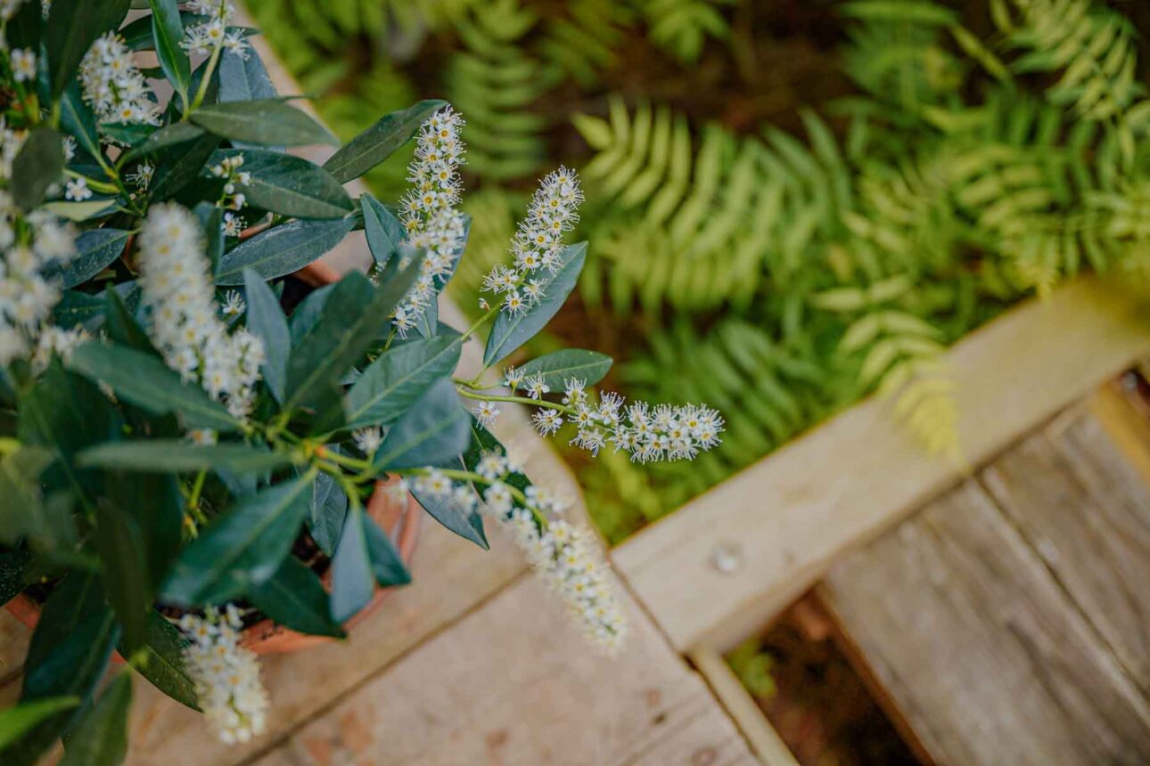 ślub i wesele w cicha 23 Warszawa