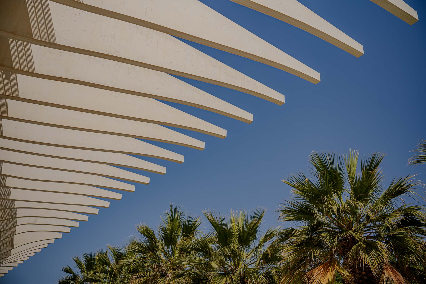 Fotógrafo de bodas en Málaga Marbella Costa del Sol