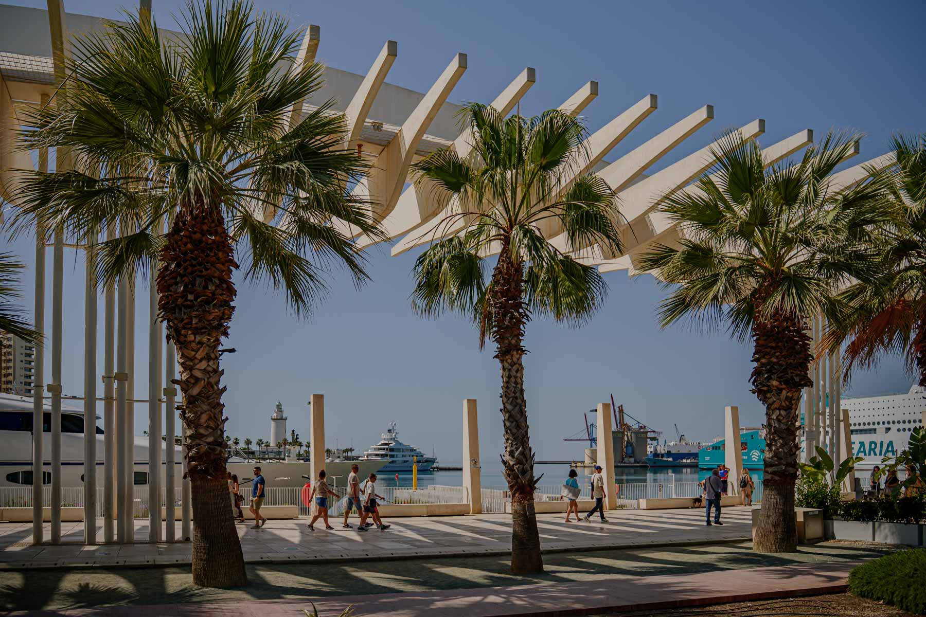 Fotógrafo de bodas en Málaga Marbella Costa del Sol